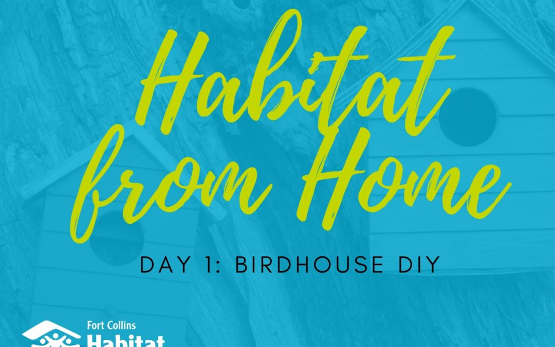 Habitat from Home: Birdhouse DIY